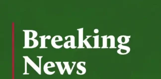 Five Rescued As Cargo Plane crash lands in Abuja