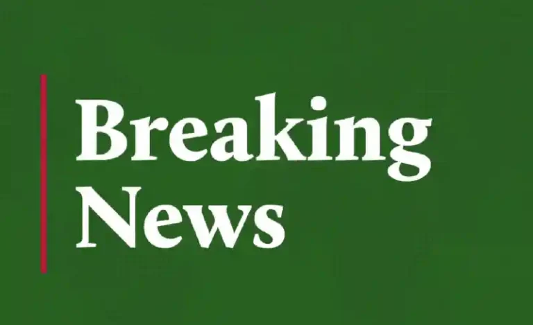 John Mahama Declared Winner of Ghana’s 2024 Presidential Election