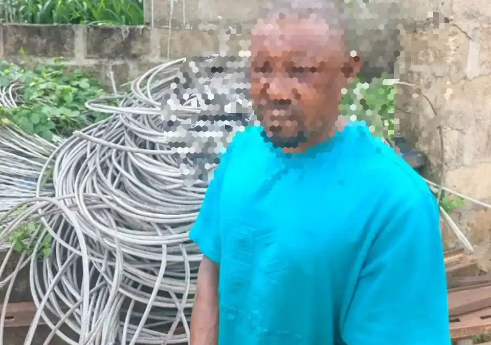 Police Nab Cable Vandals In Delta