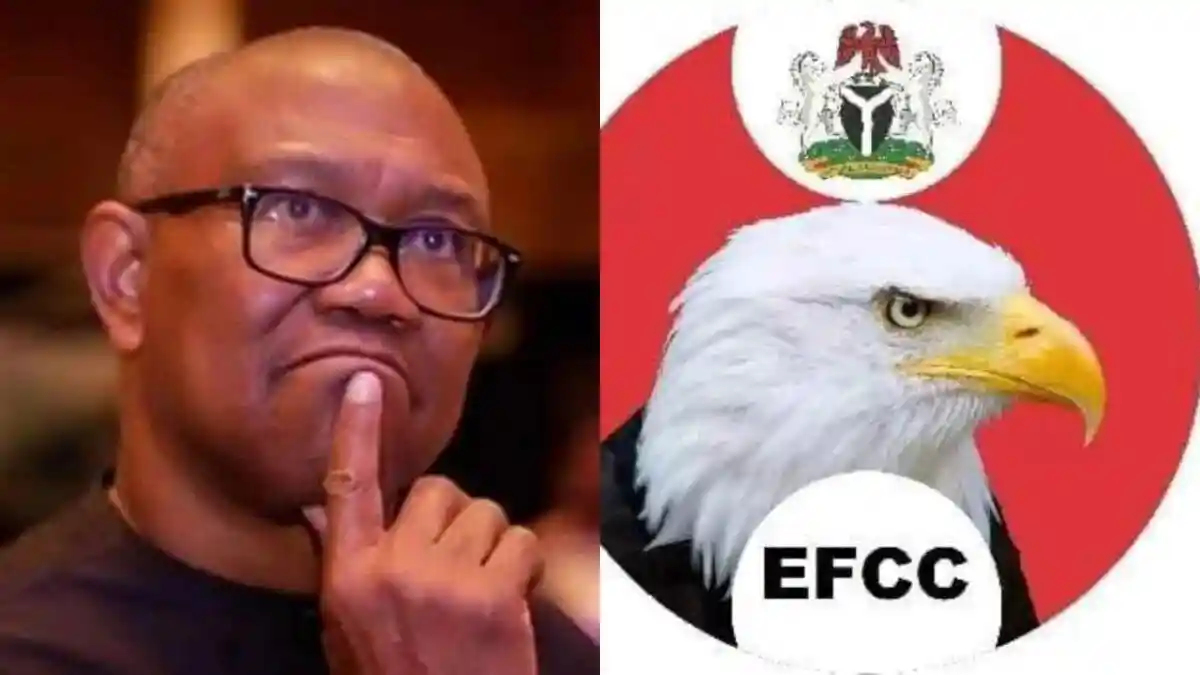 Peter Obi Urged to Withdraw from 2027 Race Amid EFCC Petition