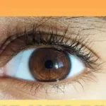 best foods for eye health