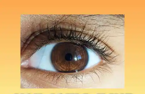 Prevent Blindness Naturally: 10 Foods to Protect Your Eyes”