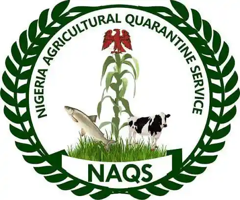 2026 NAQS Recruitment Guide: Requirements, Deadline, and Application Steps