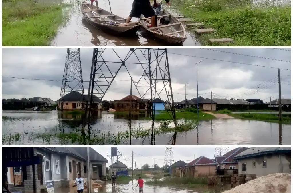 Sapele Is Drowning. The Excuses Have Run Out