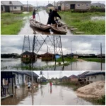 Sapele Is Drowning. The Excuses Have Run Out.