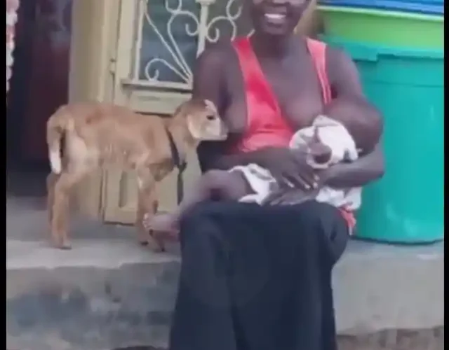 Woman Nursing Baby and Goat